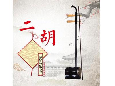 招聘铜仁二胡家教老师